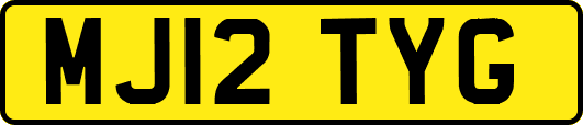 MJ12TYG