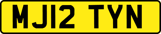 MJ12TYN