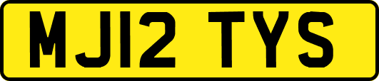 MJ12TYS
