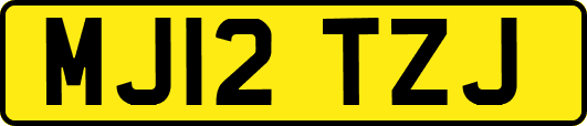 MJ12TZJ