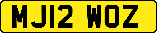 MJ12WOZ