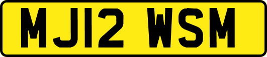 MJ12WSM