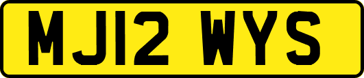 MJ12WYS
