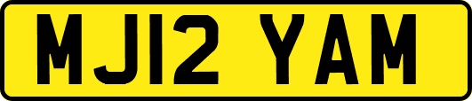 MJ12YAM