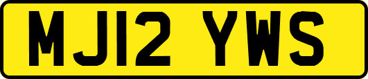 MJ12YWS