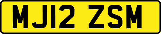 MJ12ZSM