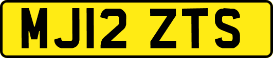 MJ12ZTS