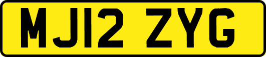 MJ12ZYG