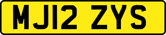 MJ12ZYS