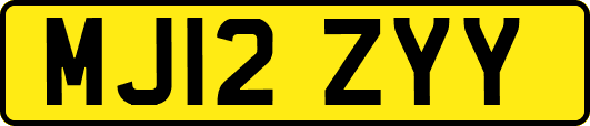 MJ12ZYY