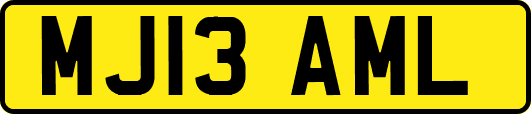 MJ13AML