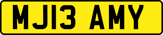 MJ13AMY
