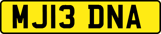 MJ13DNA