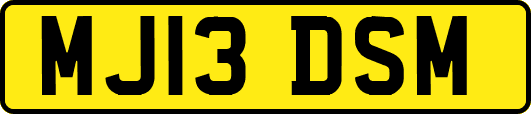 MJ13DSM