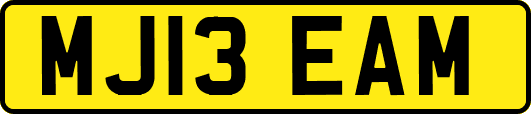 MJ13EAM