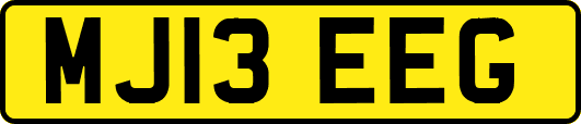MJ13EEG
