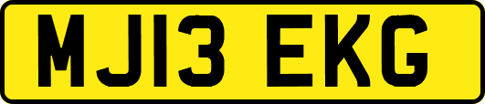MJ13EKG