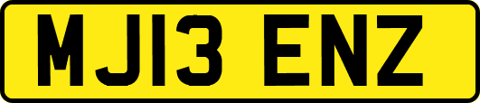 MJ13ENZ