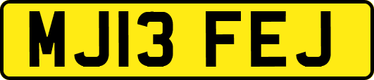 MJ13FEJ