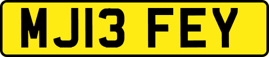 MJ13FEY