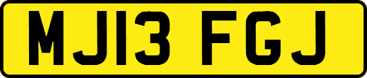 MJ13FGJ