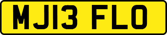 MJ13FLO