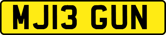 MJ13GUN