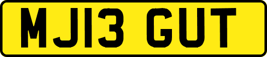 MJ13GUT