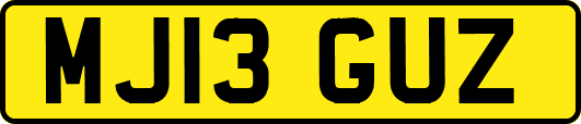 MJ13GUZ