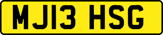MJ13HSG