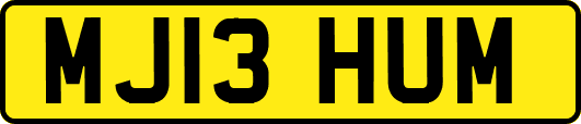 MJ13HUM