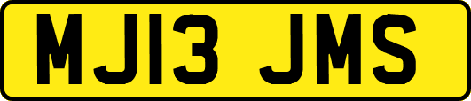 MJ13JMS