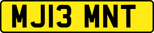 MJ13MNT