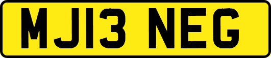 MJ13NEG