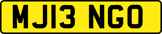 MJ13NGO