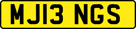 MJ13NGS