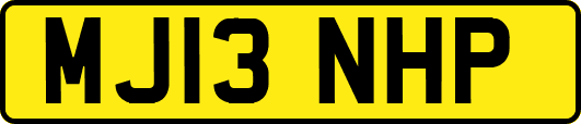 MJ13NHP
