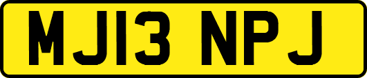 MJ13NPJ
