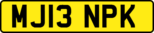 MJ13NPK