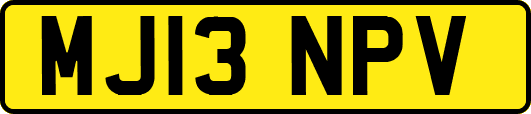 MJ13NPV