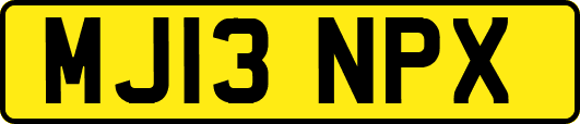 MJ13NPX