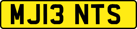MJ13NTS