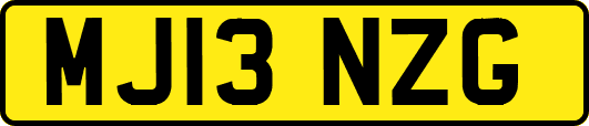 MJ13NZG