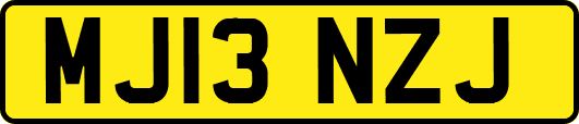 MJ13NZJ