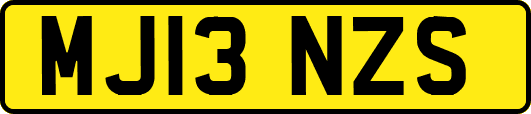 MJ13NZS