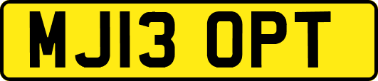 MJ13OPT