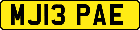 MJ13PAE