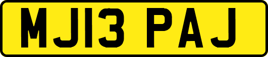 MJ13PAJ