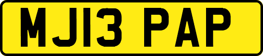 MJ13PAP