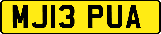 MJ13PUA